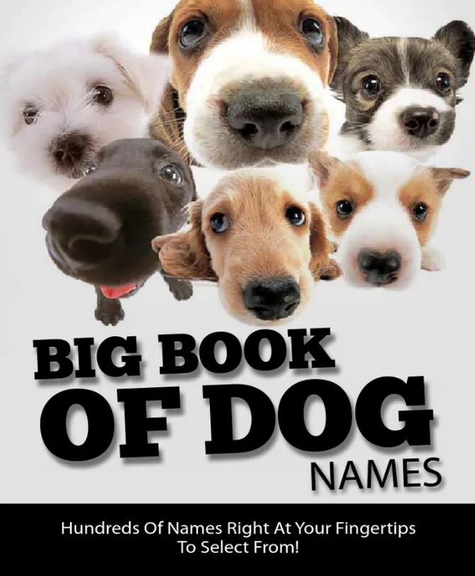 Big Book of Puppy Names